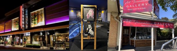 Shannon Art - Art Gallery Displays (AUG23)